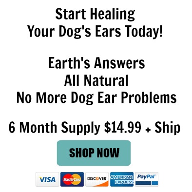 ears4006.jpg